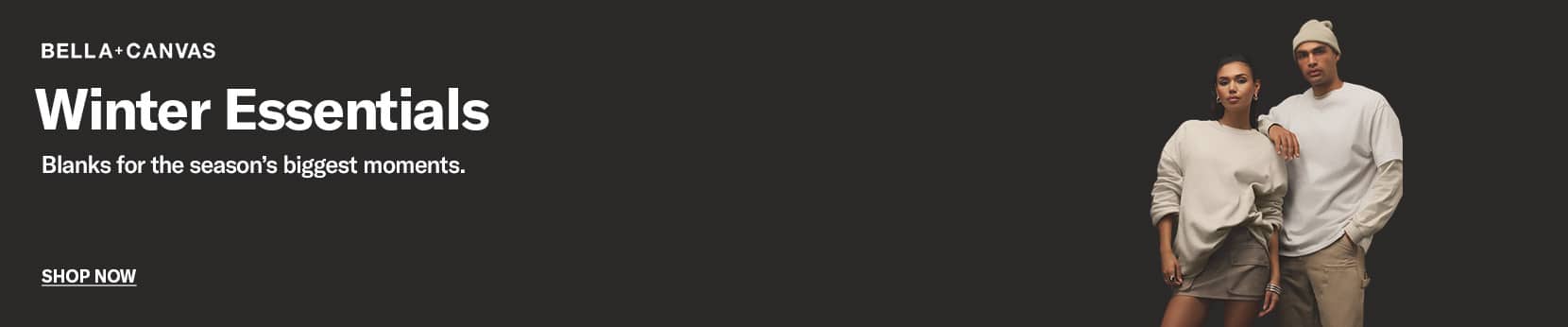 BELLA + CANVAS image